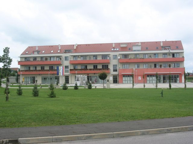 Hajdina006